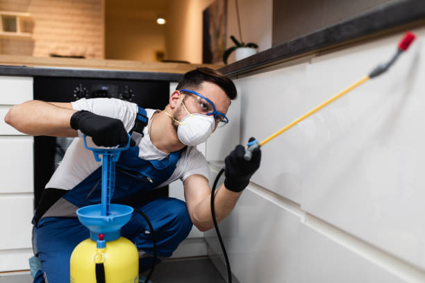 Best Pest Control Near Me in Coal City, WV